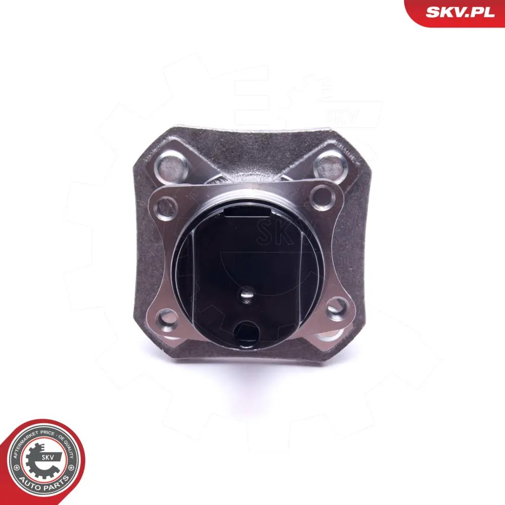 Cuscinetto ruota della ruota posteriore per Nissan Cube (Z12) 42200EL000