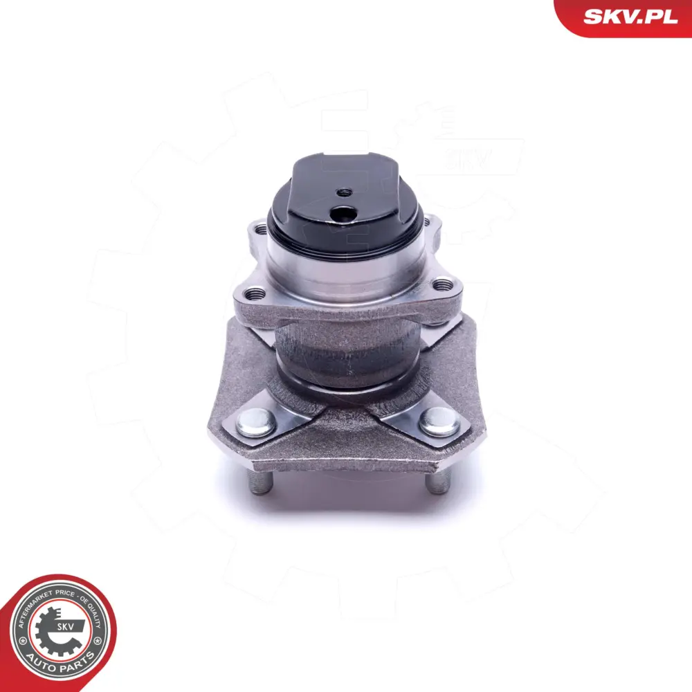 Cuscinetto ruota della ruota posteriore per Nissan Cube (Z12) 42200EL000