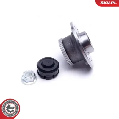Cuscinetto ruota della ruota posteriore per Renault Kangoo (KC0) 4320200Q0D
