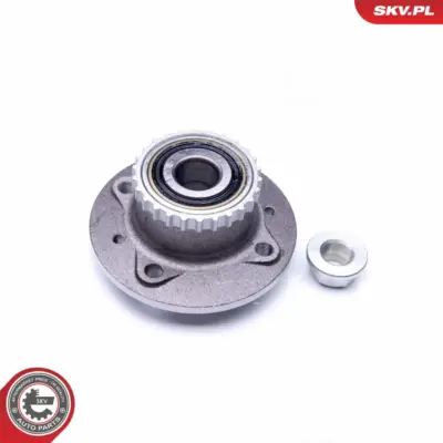Cuscinetto ruota della ruota posteriore per Renault Kangoo (KC0) 7701205499