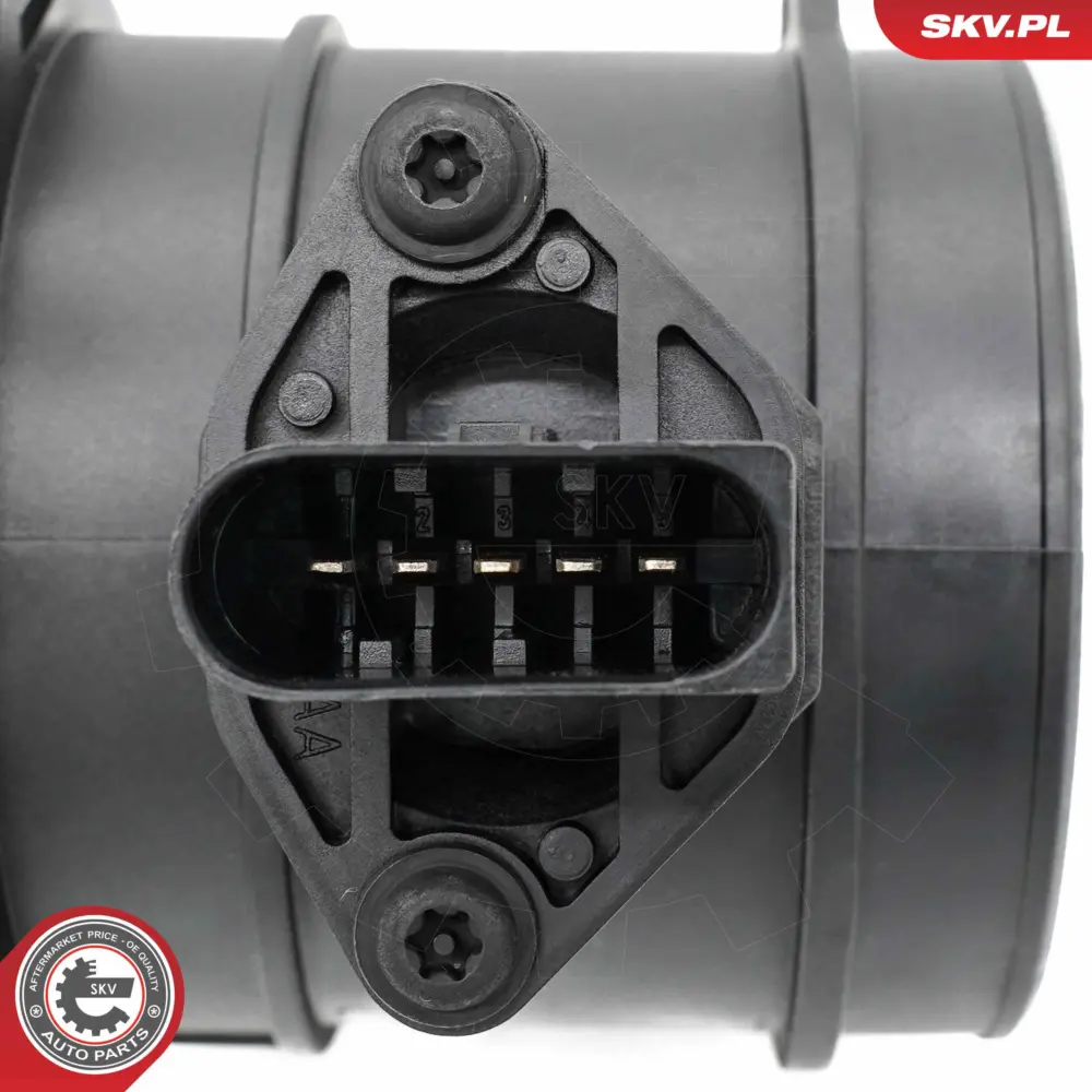 Debimetro per Porsche Cayenne (9PA) 955 606 123 35