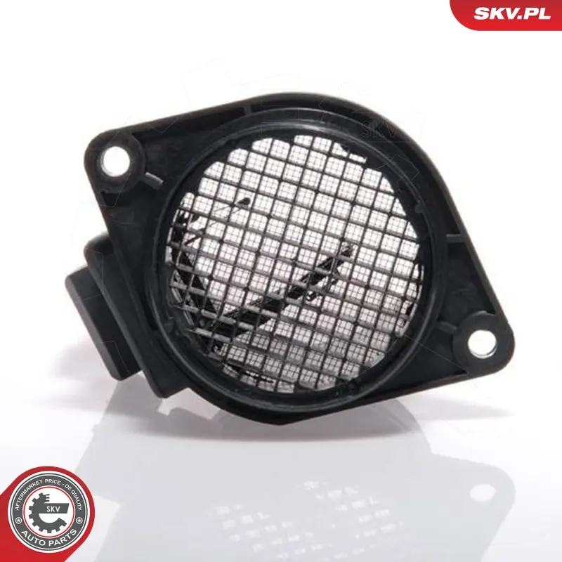 Debimetro per Renault Megane II (BM0 1_ CM0) Megane II Estate (KM0 1_) 9110733