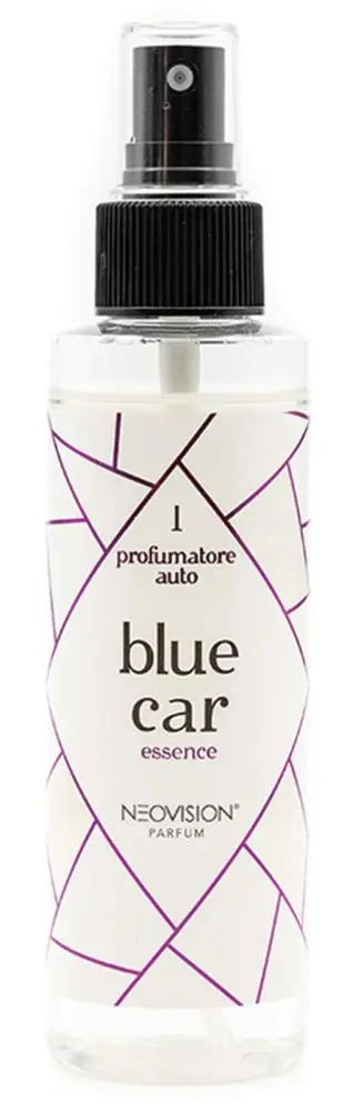 Deodorante Auto Spray Ambiente Fragranza Blu confezione 10 pezzi 150 ml