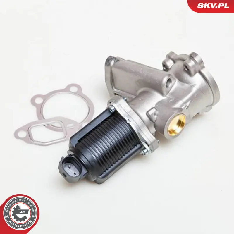EGR valve per Fiat Panda Panda Hatchback Van 500 500 C Idea 55206931