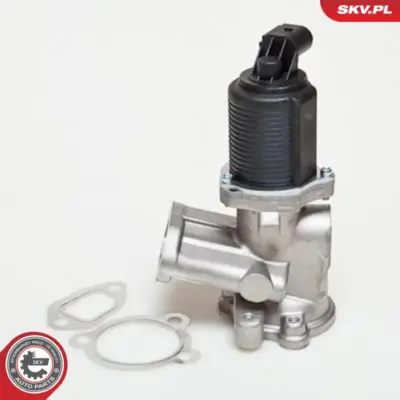 EGR valve per Fiat Panda Panda Hatchback Van 500 500 C Idea 55206931