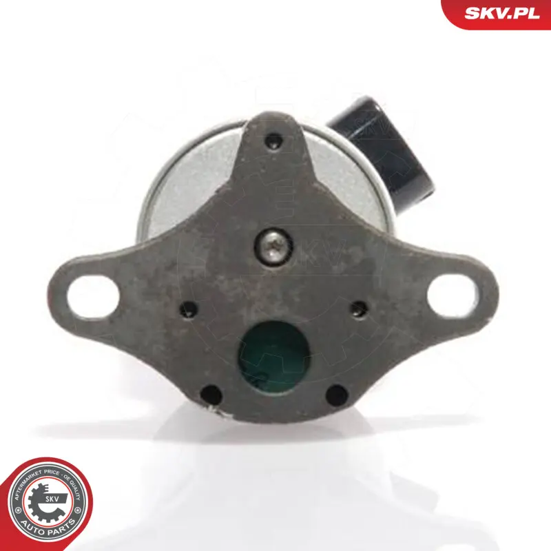 EGR valve per Peugeot 406 (8B) 406 Break (8E) 206 Hatchback (2A) 307 (3A) 1628JF