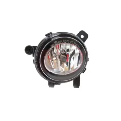 Fendinebbia Anteriore Sinistro per BMW Serie 3 F30 2011-2019