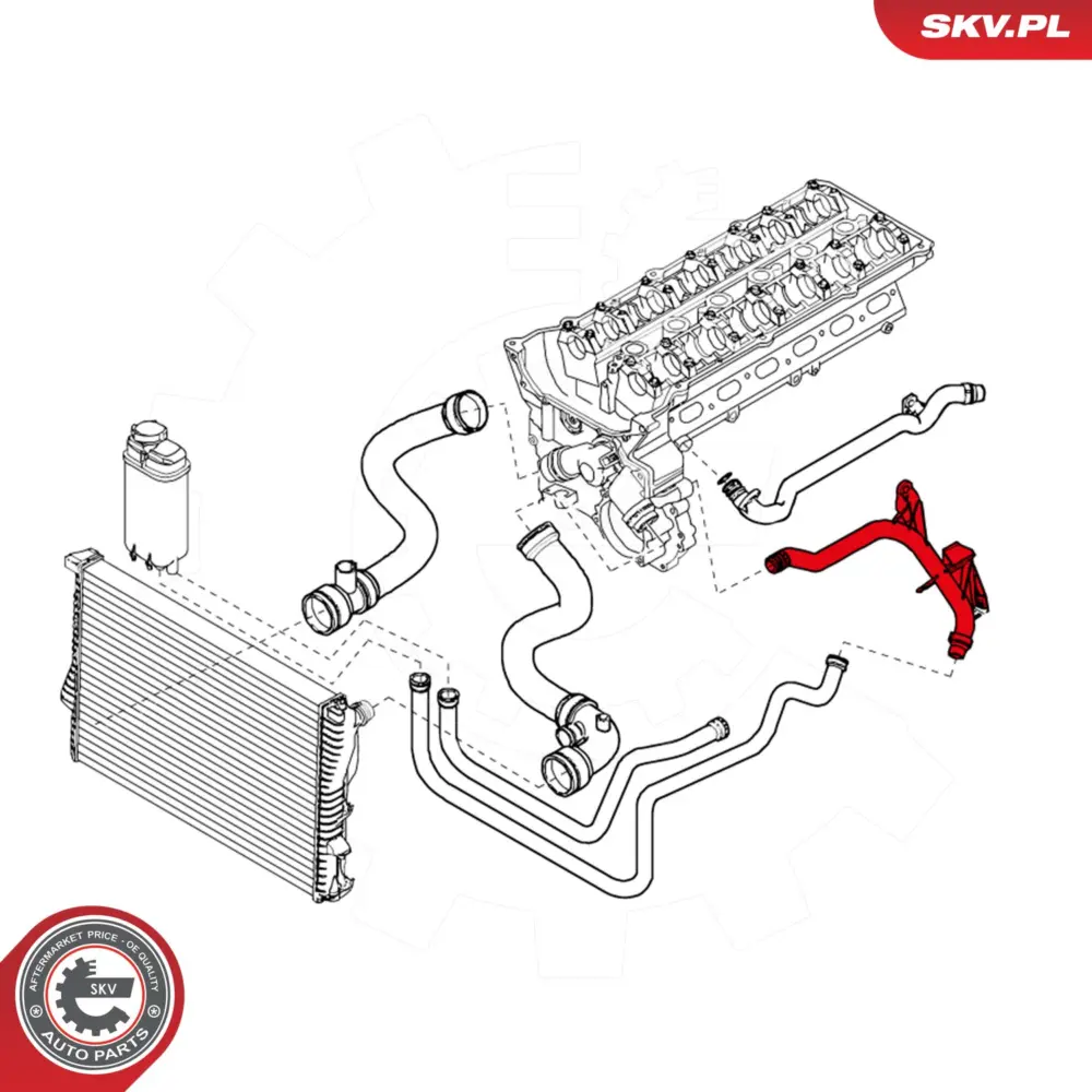 Flessibile radiatore per BMW Serie 3 (E46) 5 (E39) Z3 (E36) Z4 (E85) 11531705220