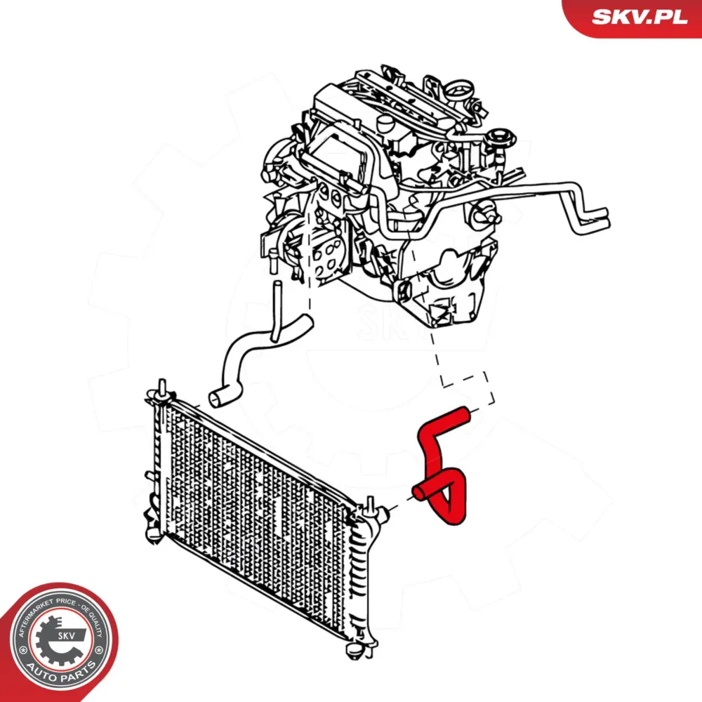Flessibile radiatore per Ford Focus I (DAW DBW) Focus I Saloon (DFW) 1061217