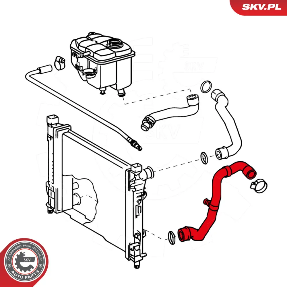 Flessibile radiatore per Mercedes Classe C Coupe (CL203) 2035015582