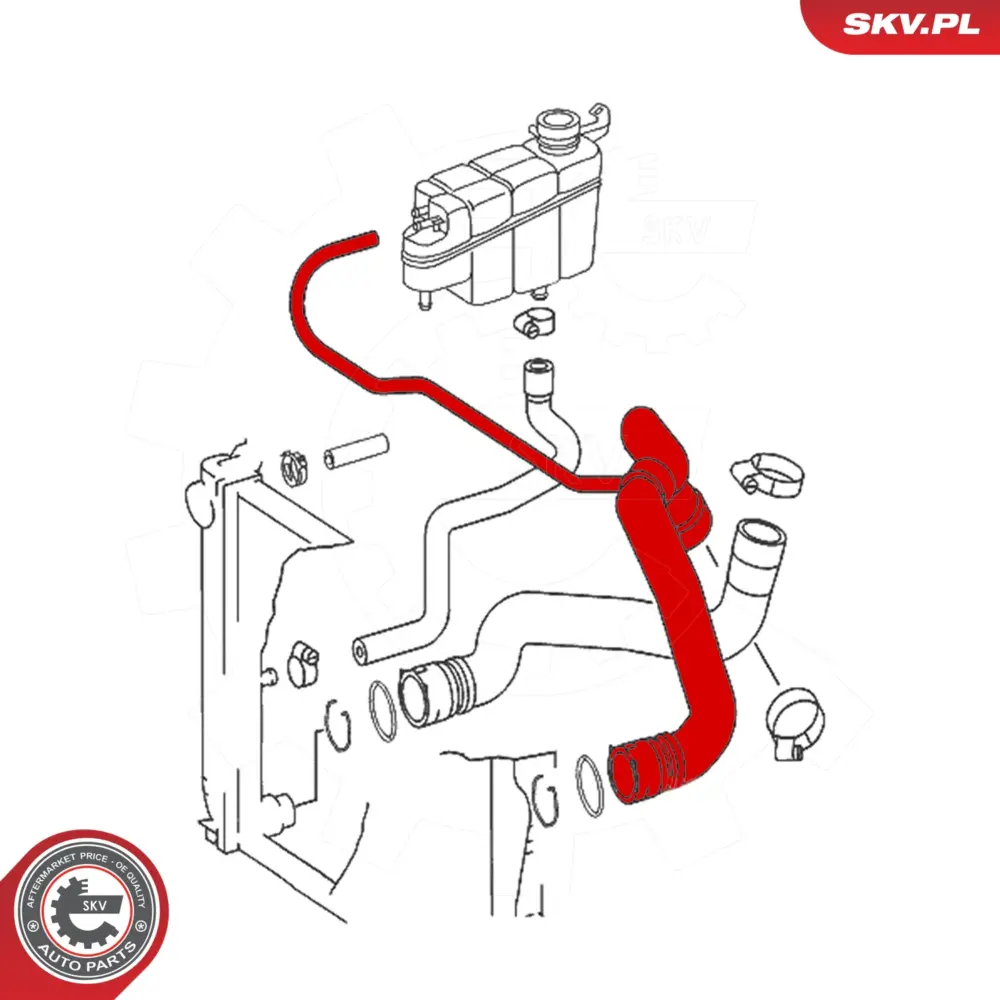 Flessibile radiatore per Mercedes Classe S (W220 V220) 2205010182