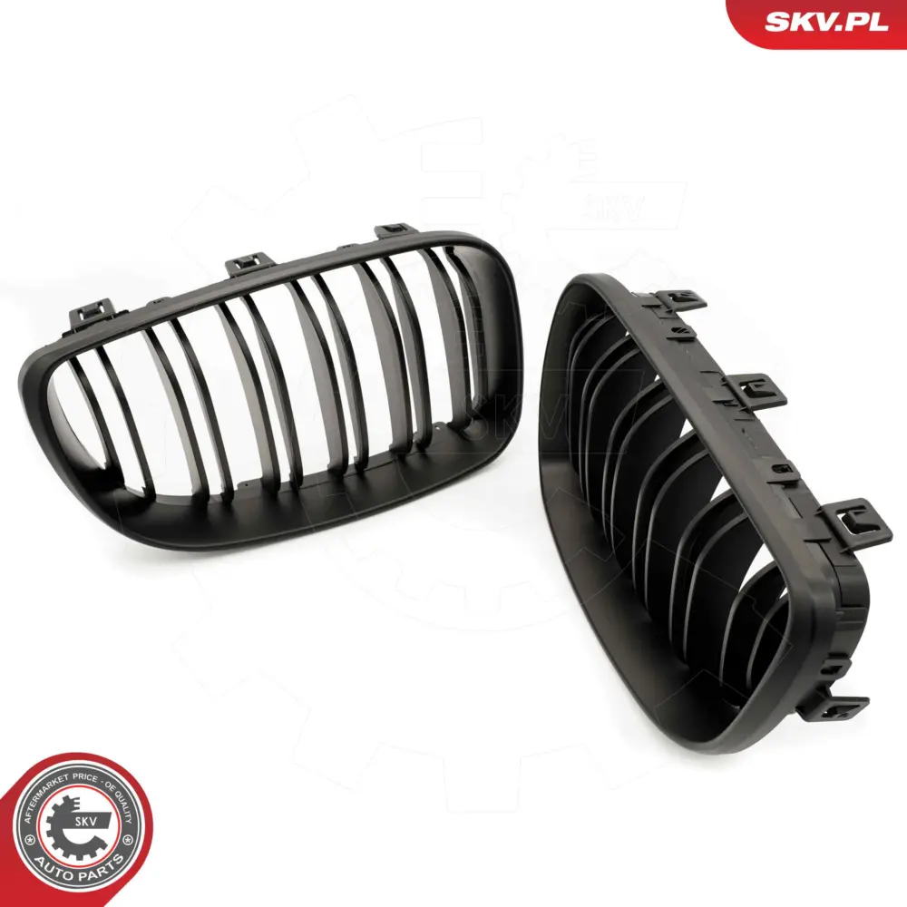 Griglia del radiatore per BMW Serie 1 (E81 E87) 51712150366