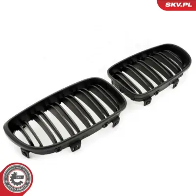 Griglia del radiatore per BMW Serie 1 (E81 E87) 51712150366