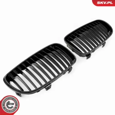 Griglia del radiatore per BMW Serie 1 (E81 E87) 51712150366