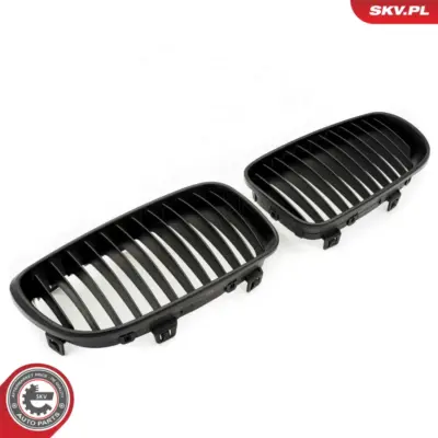 Griglia del radiatore per BMW Serie 1 (E81 E87) 51712150366
