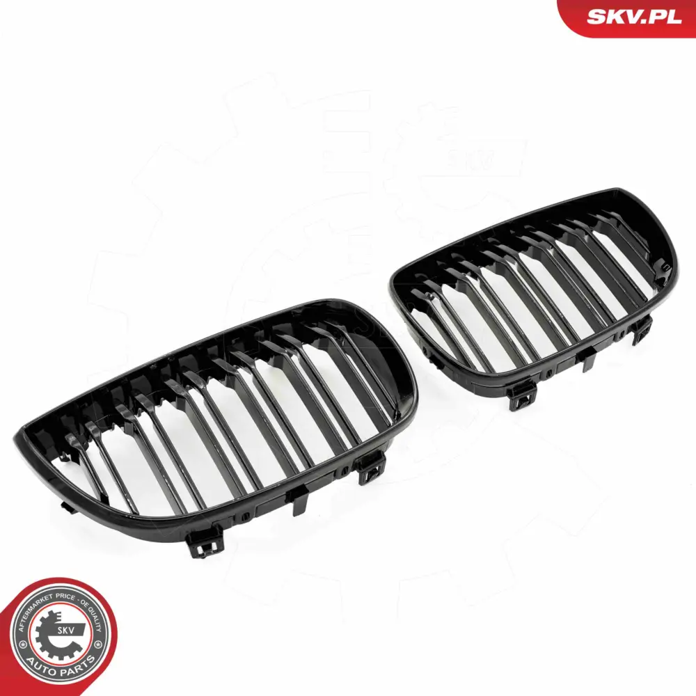 Griglia del radiatore per BMW Serie 1 (E88 E82 E81) 51710441920