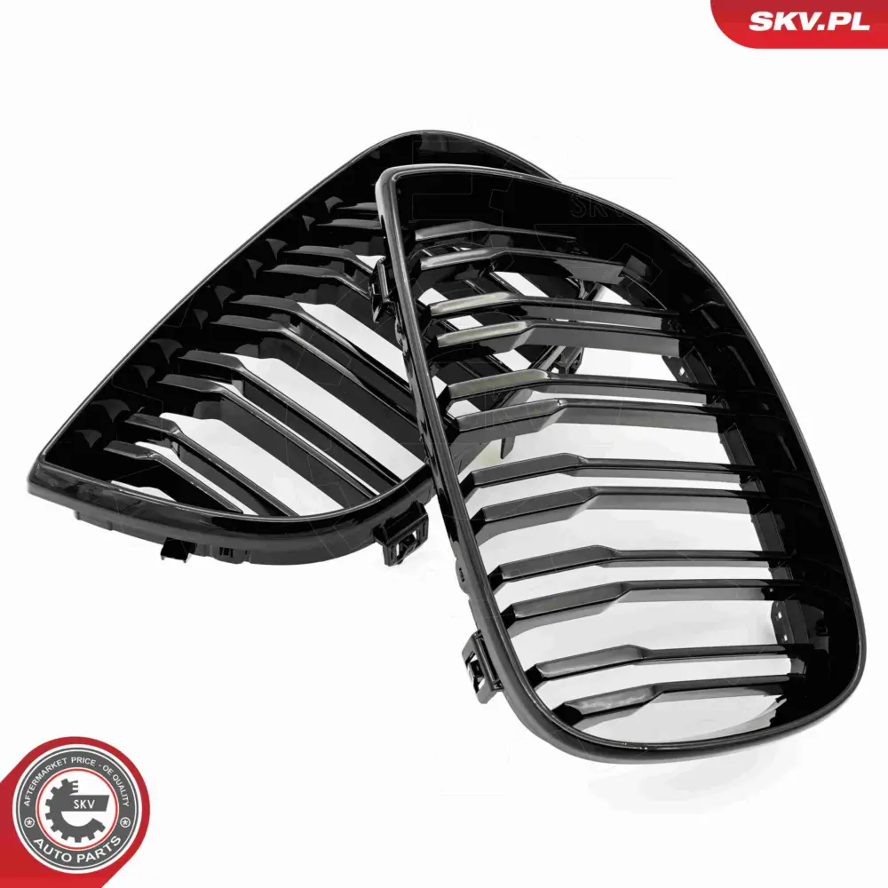 Griglia del radiatore per BMW Serie 1 (E88 E82 E81) 51710441920