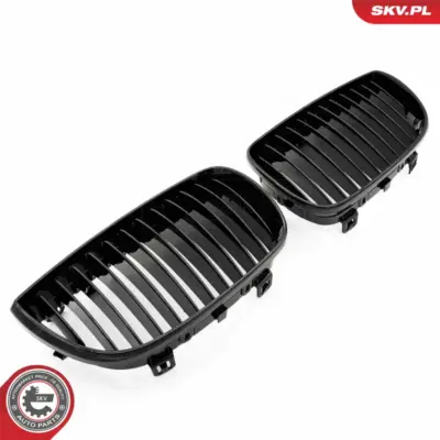Griglia del radiatore per BMW Serie 1 (E88 E82 E81) 51710441920