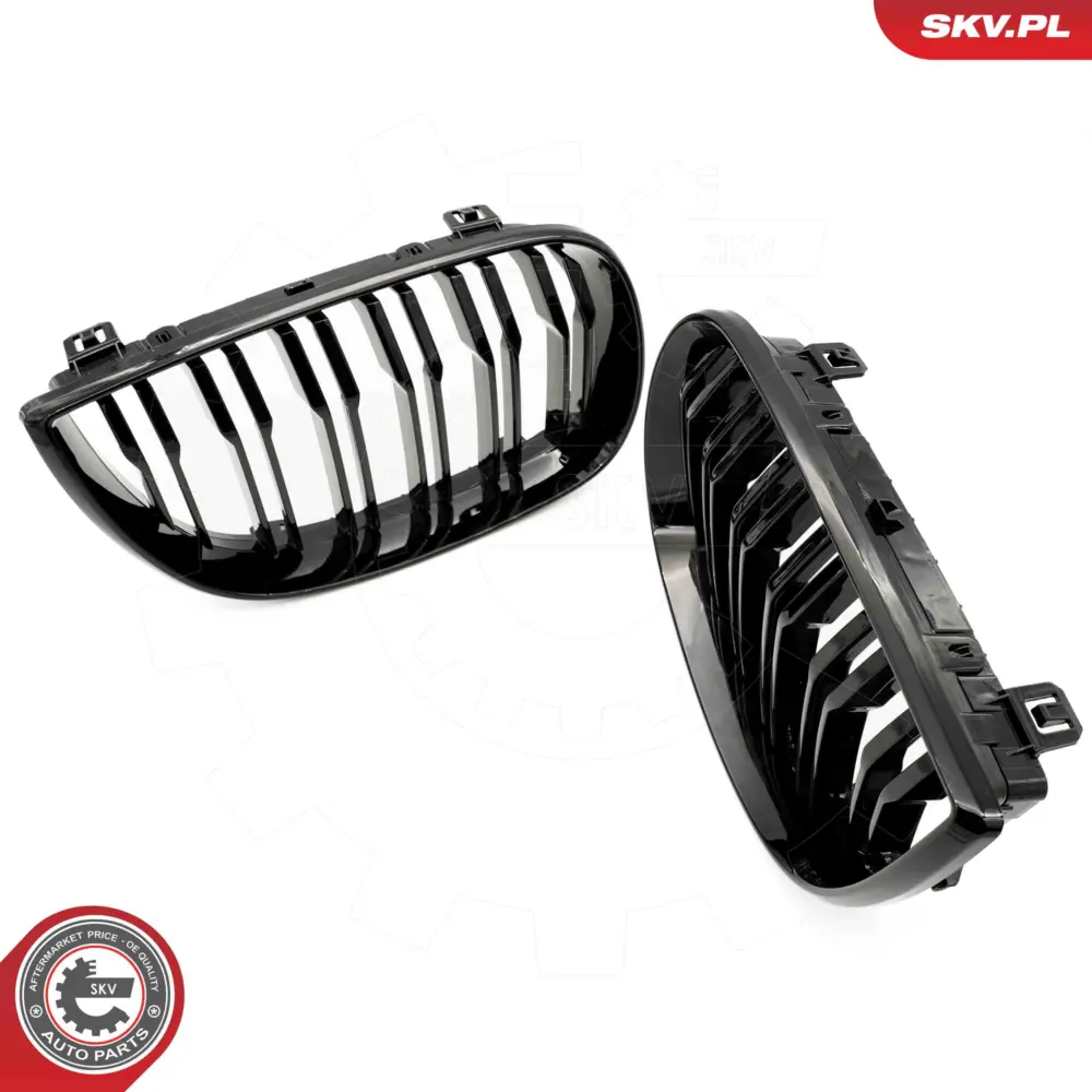 Griglia del radiatore per BMW Serie 1 (E88 E82 E81) 51710441920