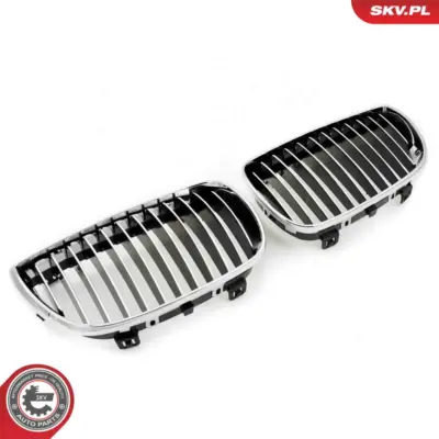 Griglia del radiatore per BMW Serie 1 (E88 E82 E81) 51710441920