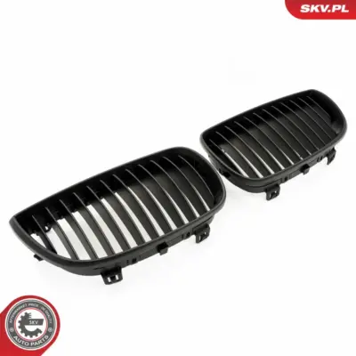 Griglia del radiatore per BMW Serie 1 (E88 E82 E81) 51710441920