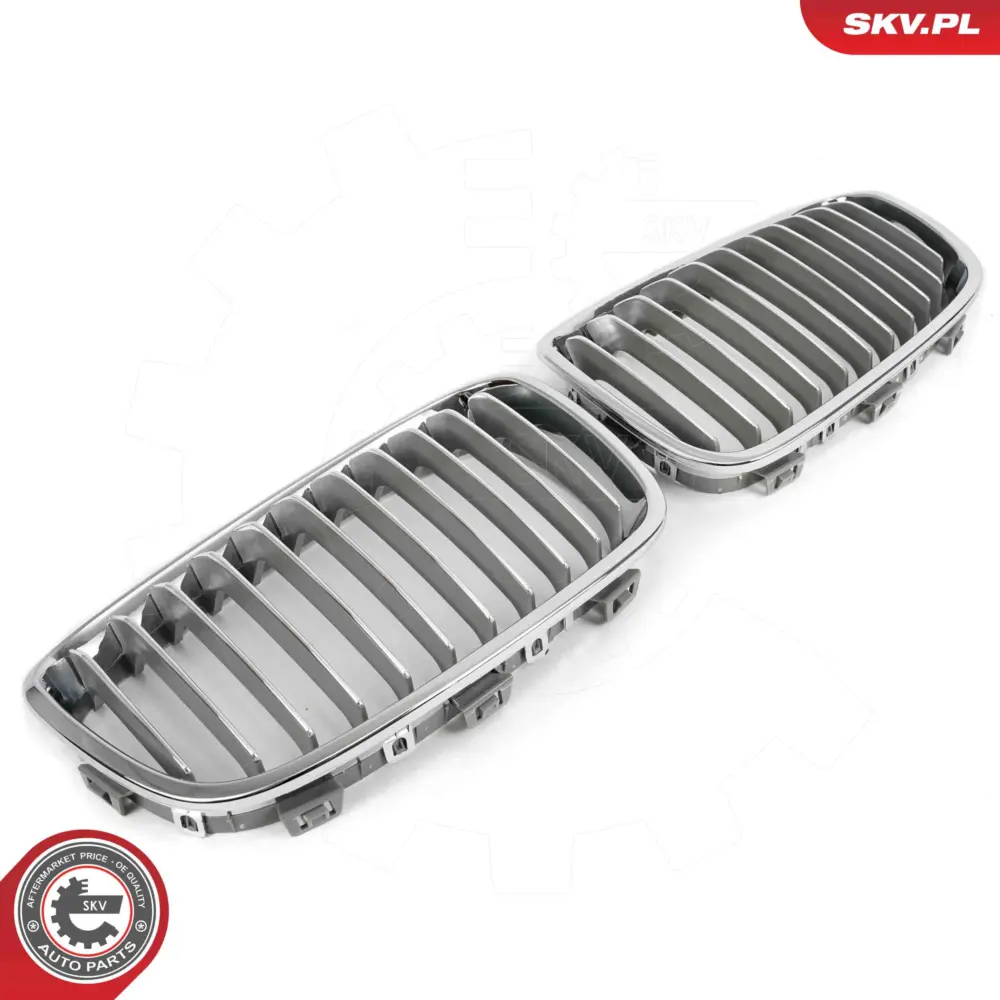 Griglia del radiatore per BMW Serie 1 (F20 F21) 51137262117