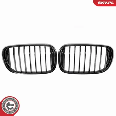 Griglia del radiatore per BMW Serie 3 (E46) 5113-8208-487