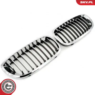 Griglia del radiatore per BMW Serie 3 (E46) 51137064317