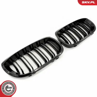 Griglia del radiatore per BMW Serie 3 (E46) 51137064317