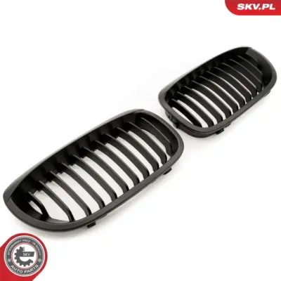 Griglia del radiatore per BMW Serie 3 (E46) 51137064317