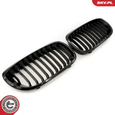 Griglia del radiatore per BMW Serie 3 (E46) 51137064317