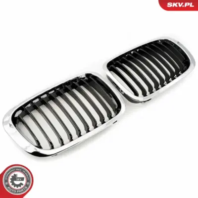 Griglia del radiatore per BMW Serie 3 (E46) 51138208490