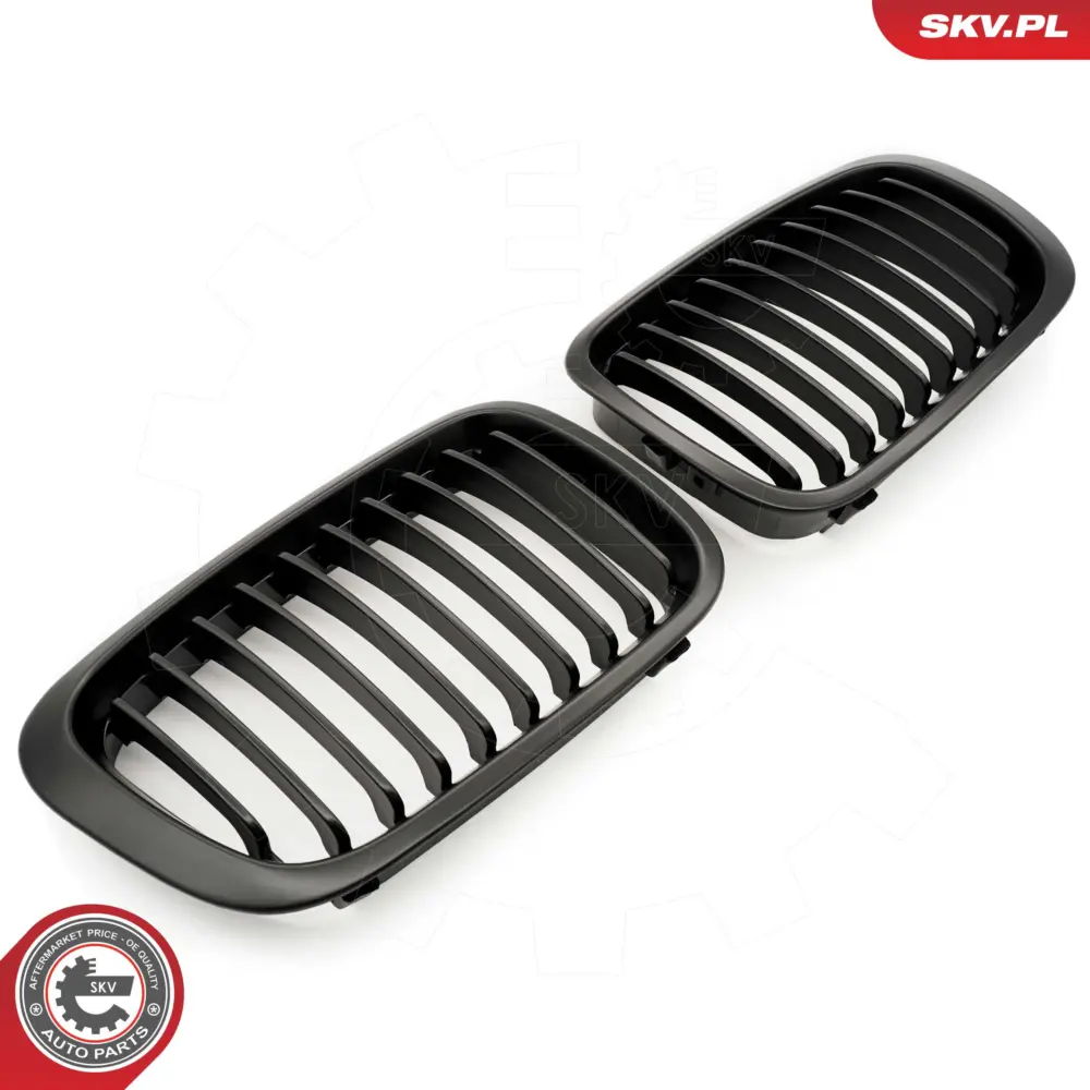 Griglia del radiatore per BMW Serie 3 (E46) 51138208490