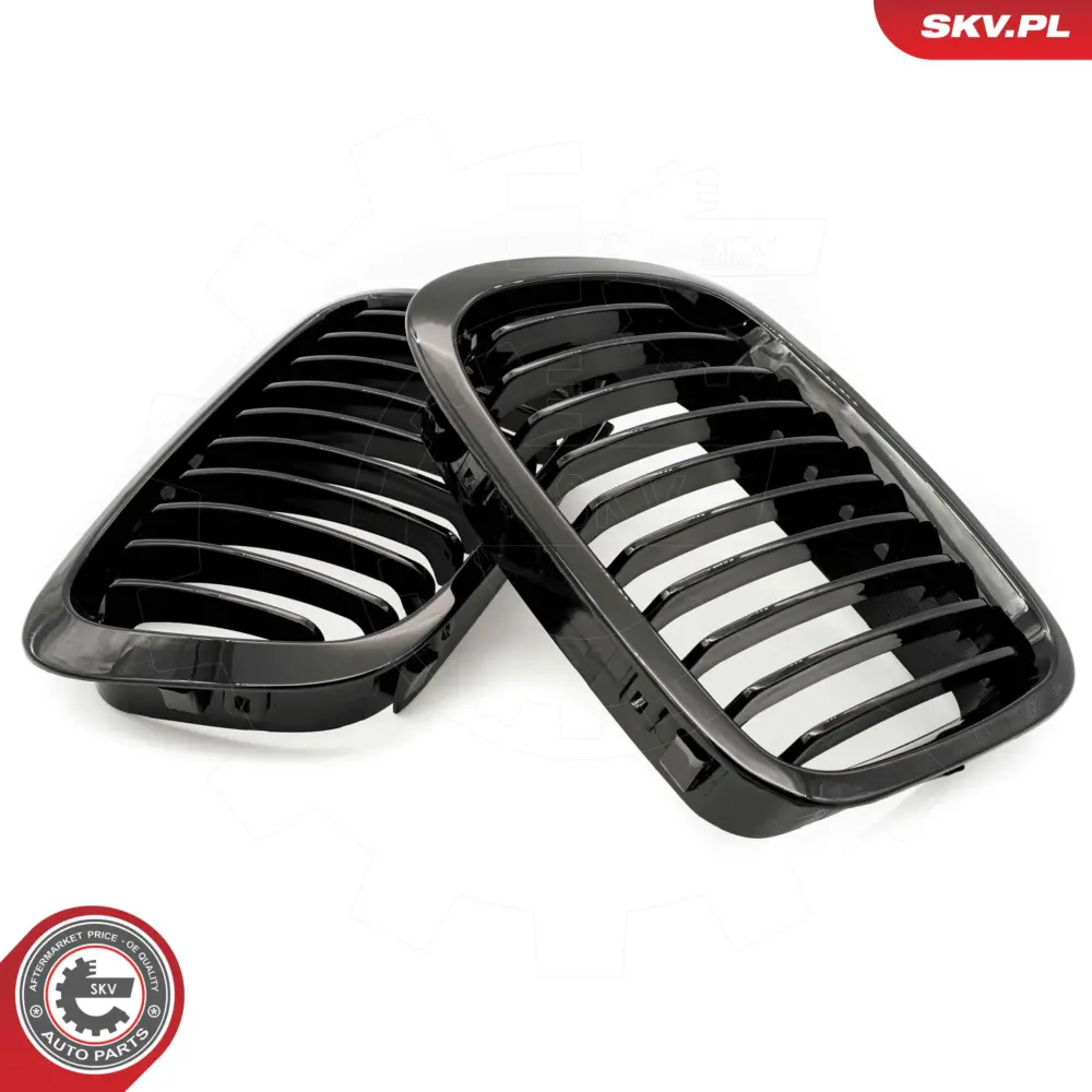 Griglia del radiatore per BMW Serie 3 (E46) 51138208490
