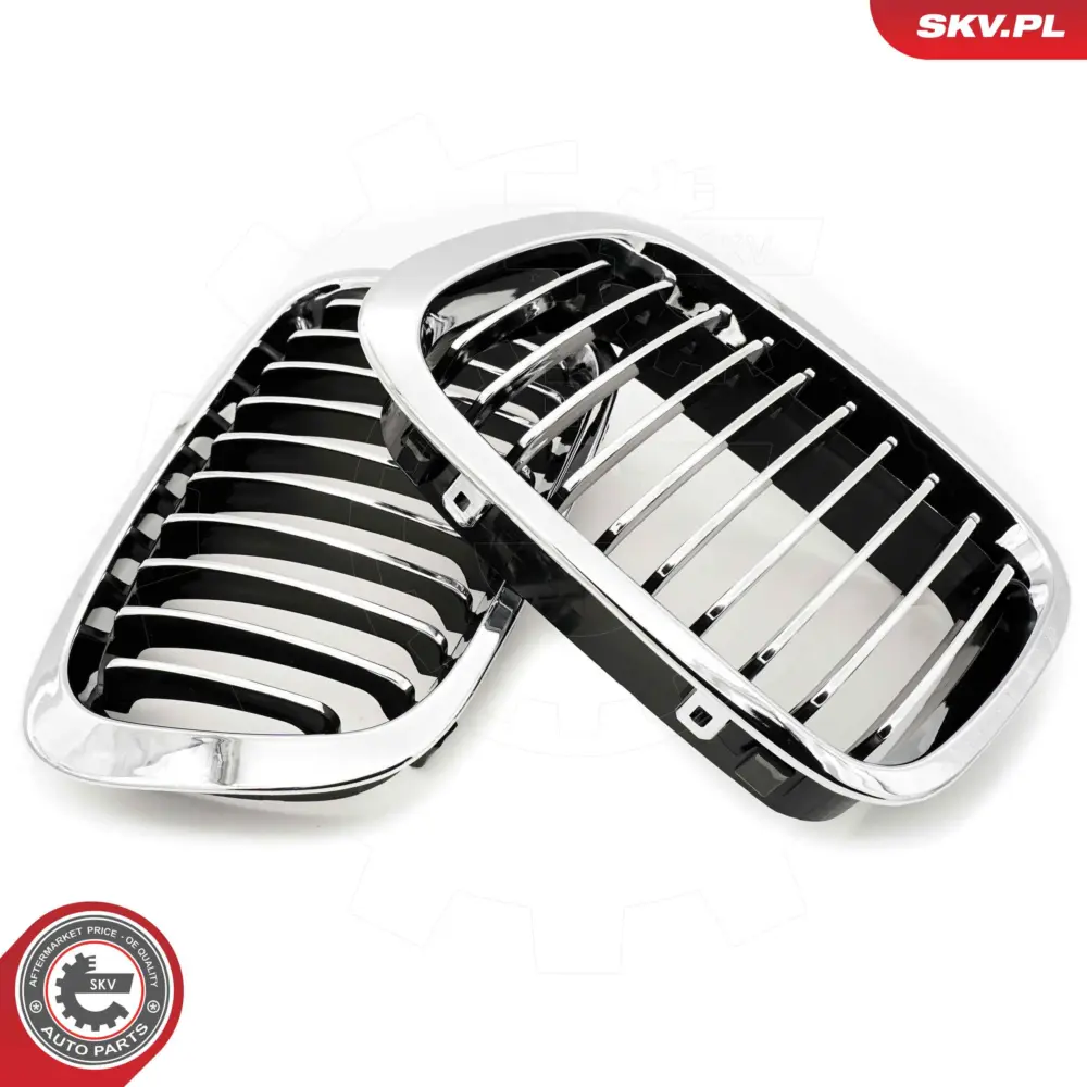 Griglia del radiatore per BMW Serie 3 (E46) 51138208490