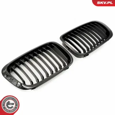 Griglia del radiatore per BMW Serie 3 (E46) 51138208490