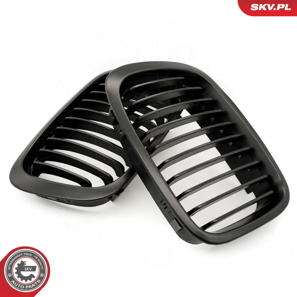 Griglia del radiatore per BMW Serie 3 (E46) 51138208490