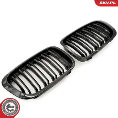 Griglia del radiatore per BMW Serie 3 (E46) 51138208490