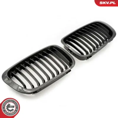Griglia del radiatore per BMW Serie 3 (E46) 51138208490
