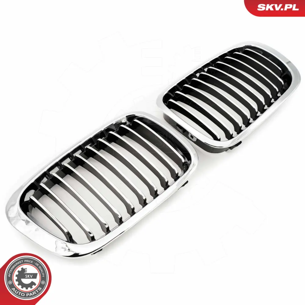 Griglia del radiatore per BMW Serie 3 (E46) 51138208490