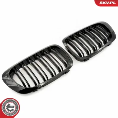 Griglia del radiatore per BMW Serie 3 (E46) 51138208683