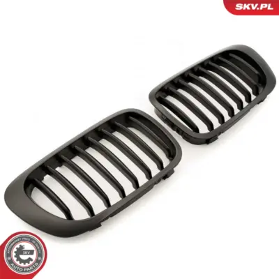 Griglia del radiatore per BMW Serie 3 (E46) 51138208683