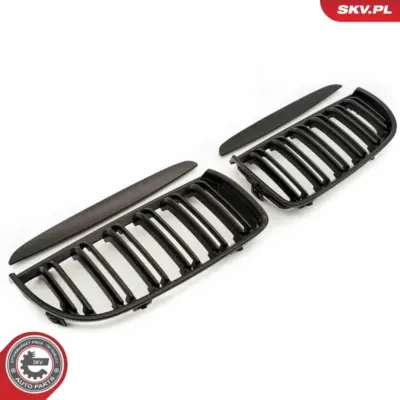 Griglia del radiatore per BMW Serie 3 (E90 E91) 51137117241