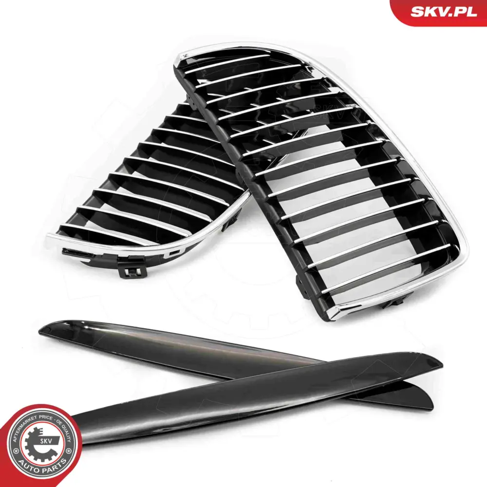 Griglia del radiatore per BMW Serie 3 (E90 E91) 51137117241