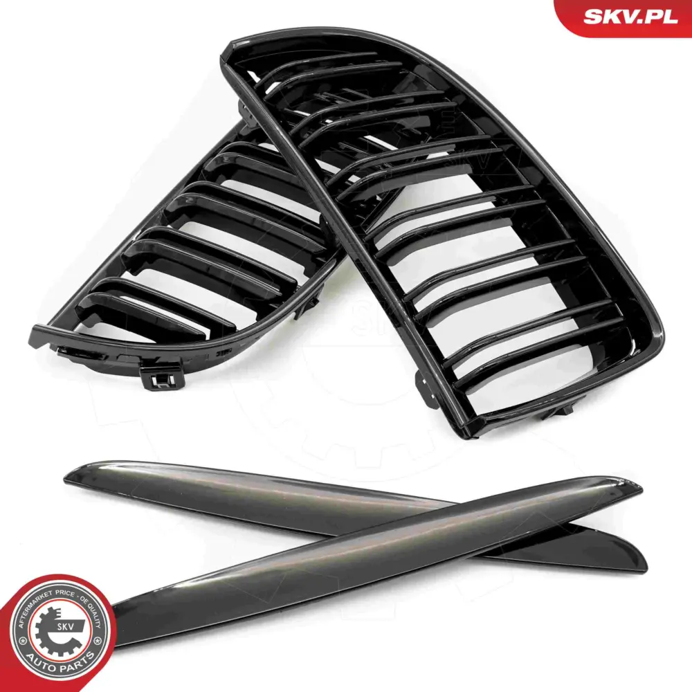 Griglia del radiatore per BMW Serie 3 (E90 E91) 51137117241