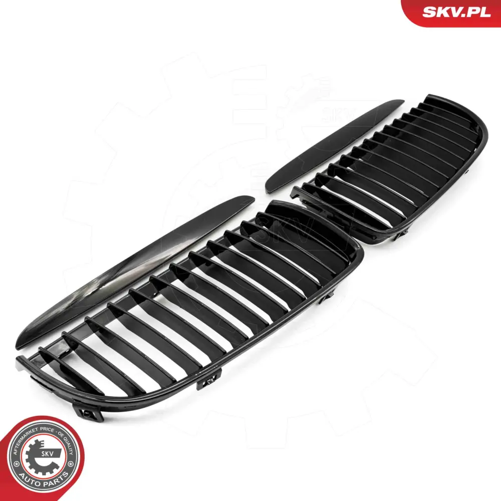 Griglia del radiatore per BMW Serie 3 (E90 E91) 51137117241