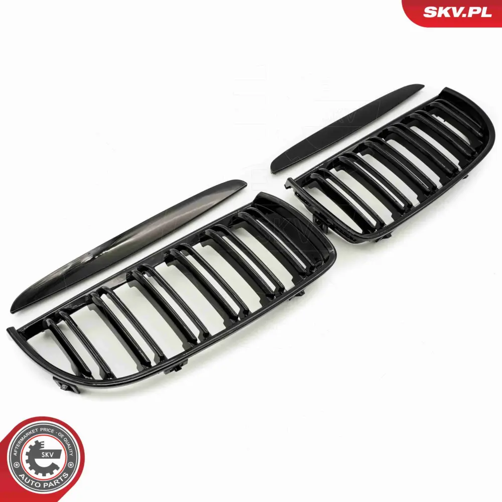 Griglia del radiatore per BMW Serie 3 (E90 E91) 51137117241