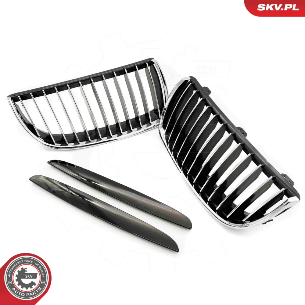 Griglia del radiatore per BMW Serie 3 (E90 E91) 51137117241