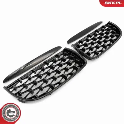 Griglia del radiatore per BMW Serie 3 (E90 E91) 51137117241
