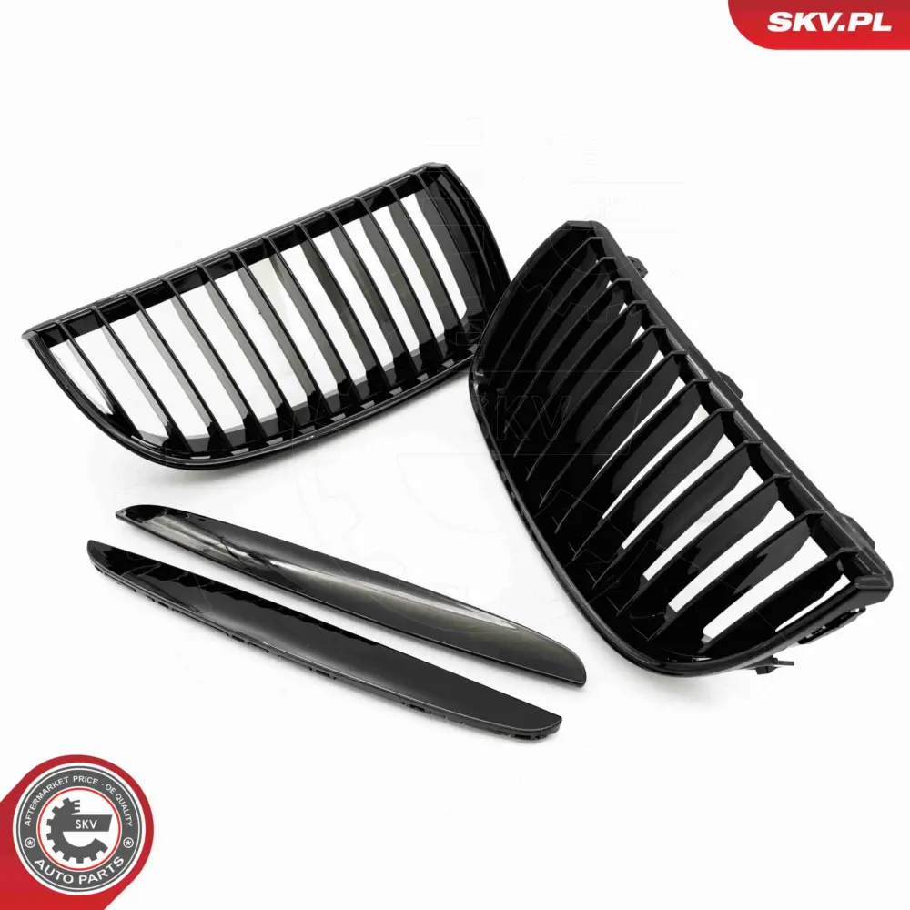 Griglia del radiatore per BMW Serie 3 (E90 E91) 51137117241